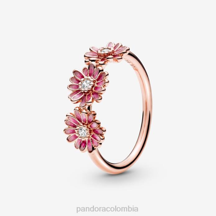 Pandora anillo trío flor margarita rosa Oro de Rose plateado J2LX678 accesorios